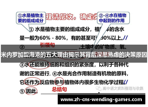 米内罗加盟海港的五大理由揭示其背后深思熟虑的决策原因