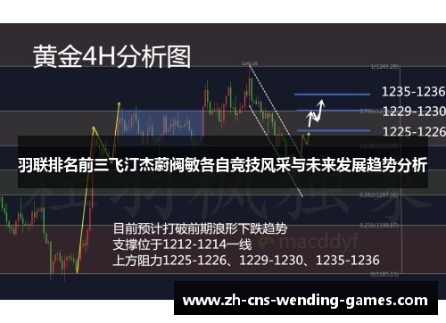羽联排名前三飞汀杰蔚阀敏各自竞技风采与未来发展趋势分析