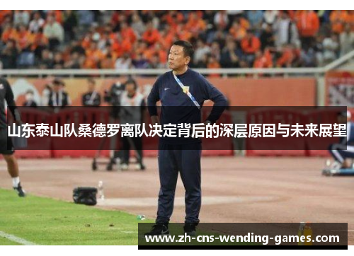 山东泰山队桑德罗离队决定背后的深层原因与未来展望