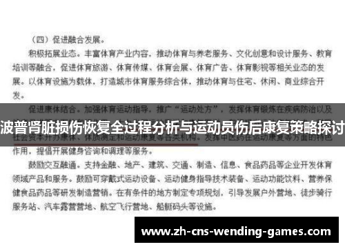 波普肾脏损伤恢复全过程分析与运动员伤后康复策略探讨