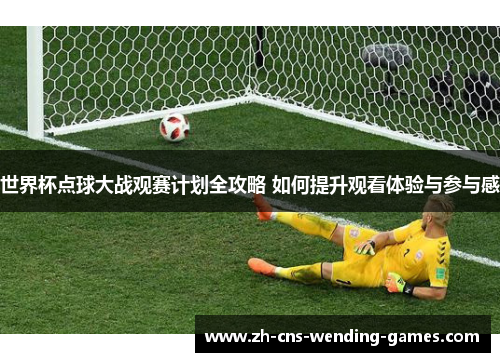 世界杯点球大战观赛计划全攻略 如何提升观看体验与参与感
