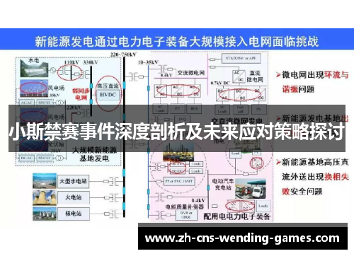 小斯禁赛事件深度剖析及未来应对策略探讨