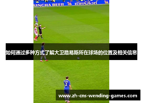 如何通过多种方式了解大卫路易斯所在球场的位置及相关信息