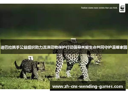 迪巴拉携手公益组织助力流浪动物保护行动倡导关爱生命共同守护温暖家园 迪巴拉携手公益组织助力流浪动物保护行动倡导关爱生命共同守护温暖家园