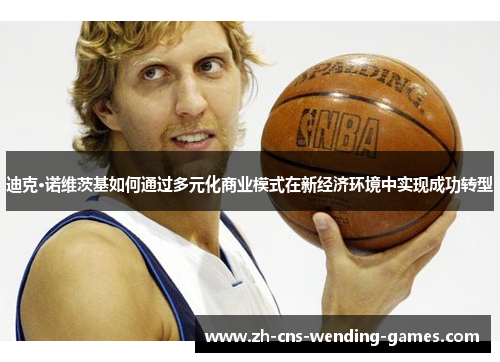 迪克·诺维茨基如何通过多元化商业模式在新经济环境中实现成功转型 迪克·诺维茨基如何通过多元化商业模式在新经济环境中实现成功转型