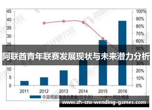 阿联酋青年联赛发展现状与未来潜力分析