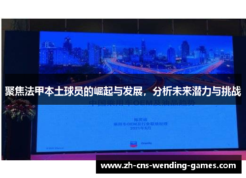 聚焦法甲本土球员的崛起与发展，分析未来潜力与挑战
