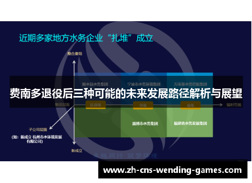 费南多退役后三种可能的未来发展路径解析与展望