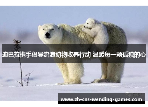 迪巴拉携手倡导流浪动物收养行动 温暖每一颗孤独的心