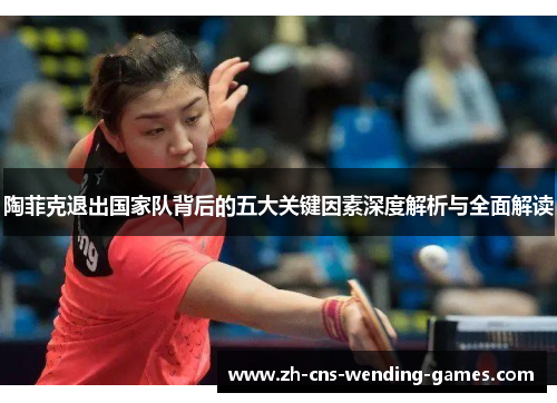 陶菲克退出国家队背后的五大关键因素深度解析与全面解读