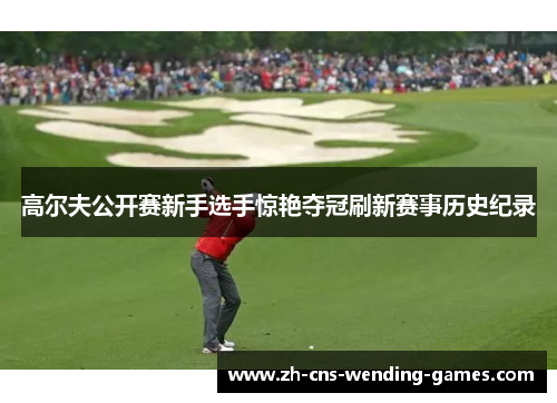 高尔夫公开赛新手选手惊艳夺冠刷新赛事历史纪录 高尔夫公开赛新手选手惊艳夺冠刷新赛事历史纪录